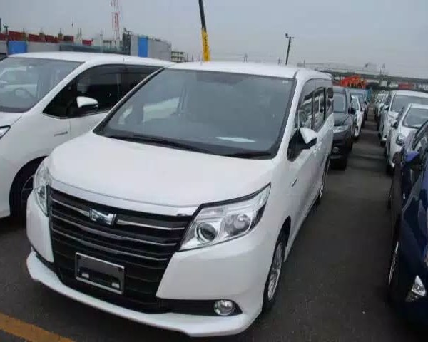 67282887_875508512827199_2594253653732753408_n