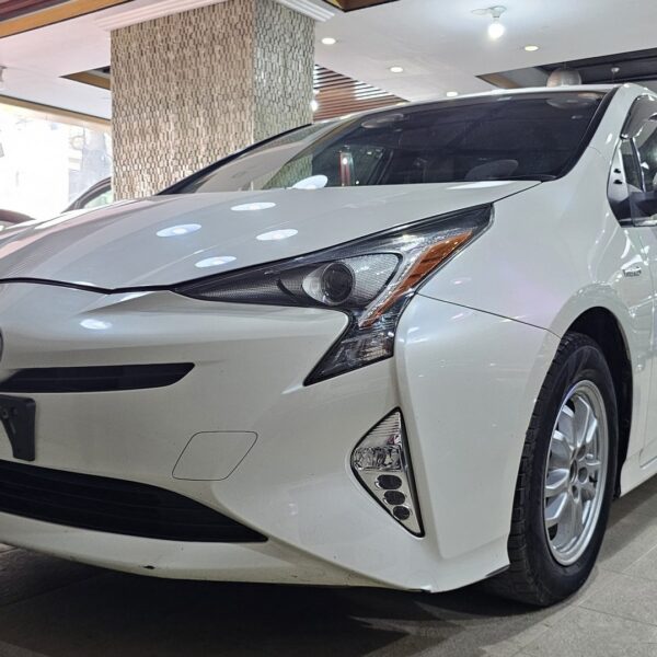 485196388_122205146810040940_9015540663862435422_n