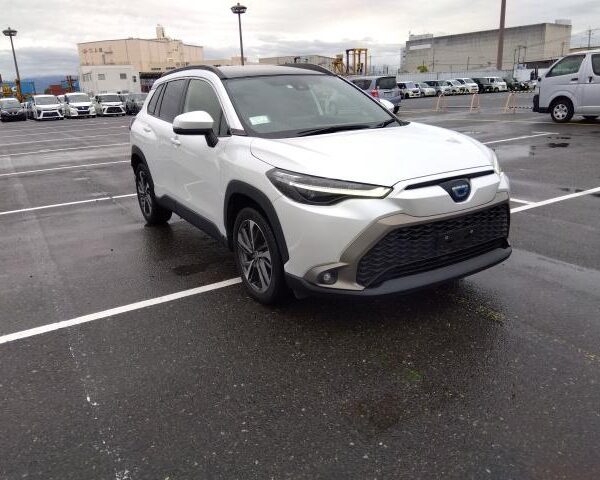 f1f7c528-6bd8-4e3f-bc85-538d9aa1aea0